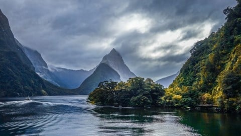 article featured image